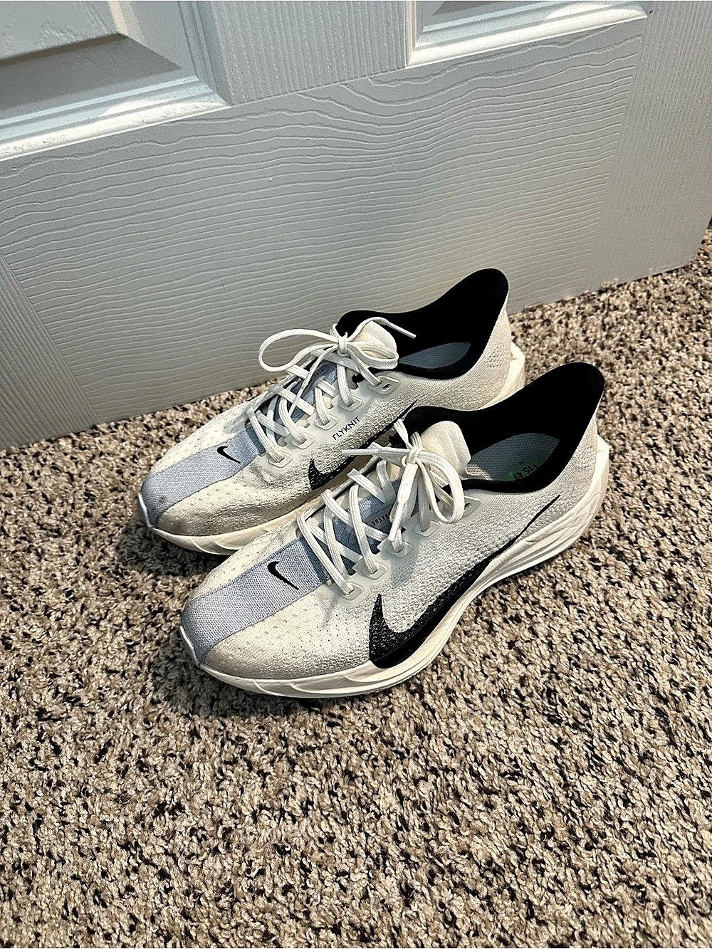 Nike Pegasus Plus Men's Road Running Shoes
US 8/EU 39 (25)